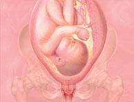 preparingforchildbirth.jpg